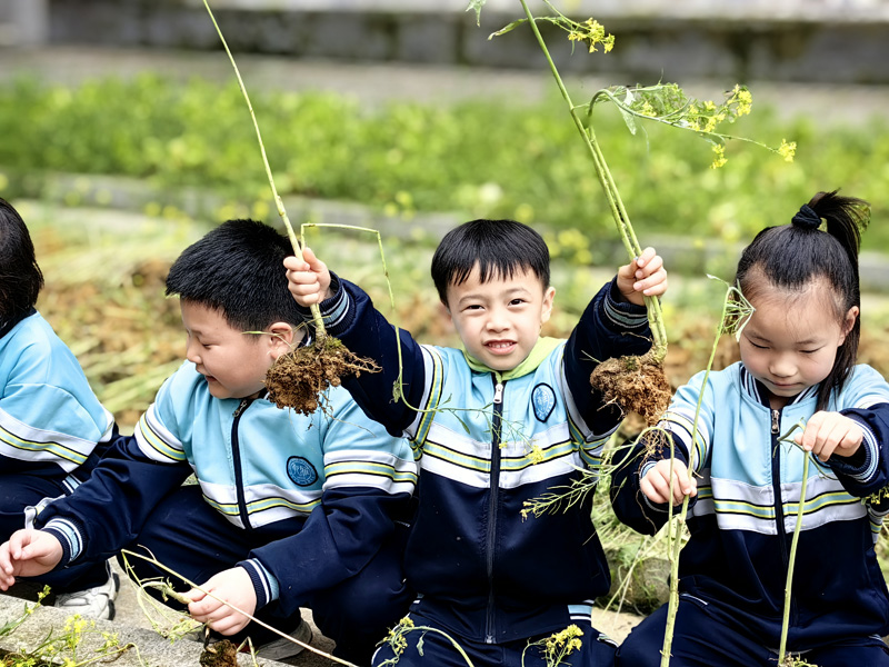 湖南省吉首市乾雅小學關工委：雅耕園里春種樂