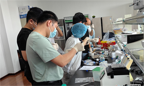 撫州市崇仁縣市場監督管理局關工委組織基層執法人員開展食品快檢業務培訓工作
