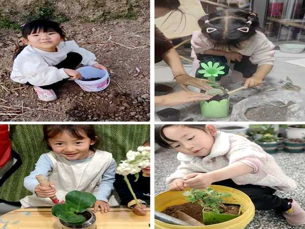 四川省涼山州寧南縣第二幼兒園關(guān)工委開展2025年春季學(xué)期“小手拉大手，綠色家園齊動手”植樹節(jié)主題活動