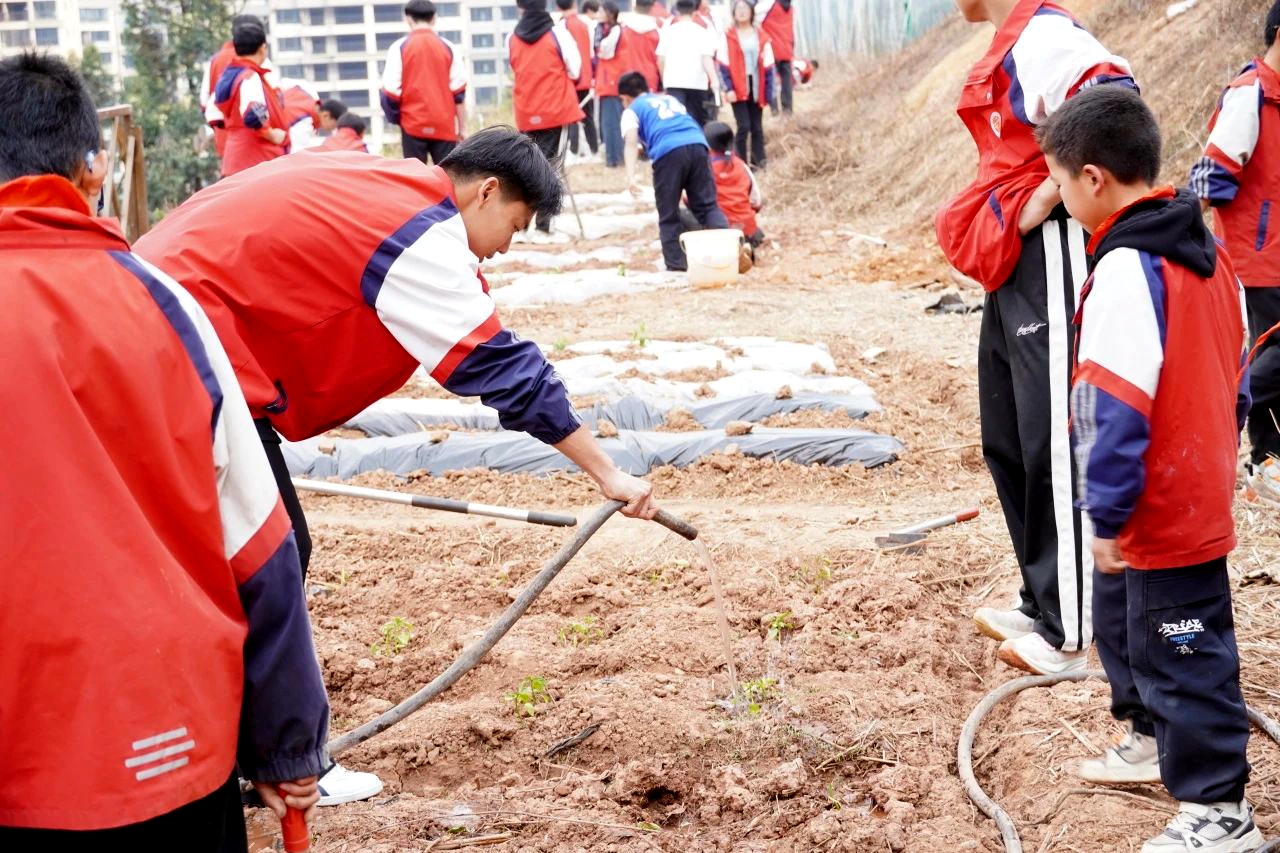 四川省涼山州會東南山實驗學校關工委開展農耕實踐活動
