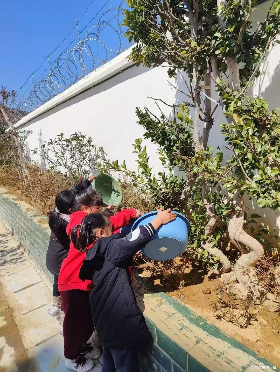 ?四川省涼山州甘洛縣新市壩鎮中心校關工委開展植樹活動