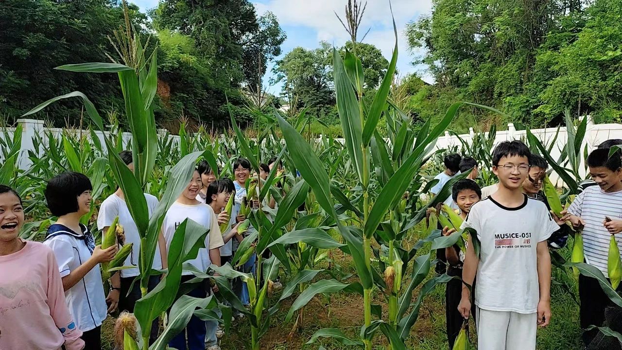 江西省贛州市于都縣羅江蘇坑小學(xué)關(guān)工委：責(zé)任田里玉米香 農(nóng)耕文化潤(rùn)童心