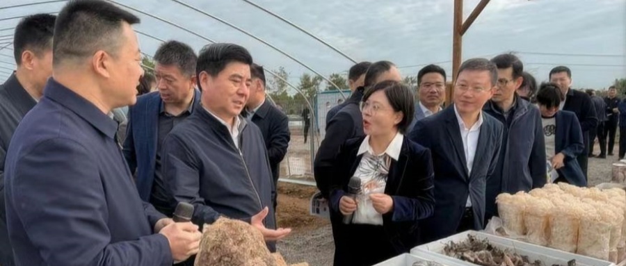 江蘇省徐州市銅山區新區街道關工委優秀輔導員厲芳熱心傳授青年食用菌技術