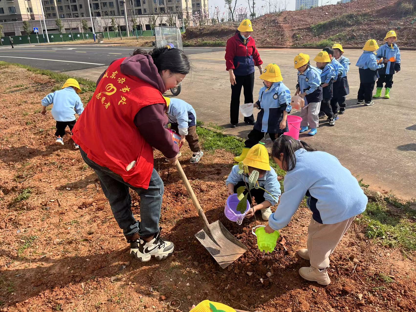 3.12陽(yáng)光植樹(shù)3.jpg
