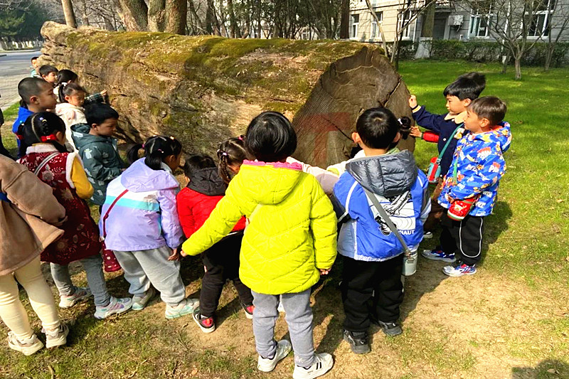 江蘇省南京市玄武區鎖三社區關工委開展“賡續紅色精神，踐行綠色傳承”主題活動(3).jpg