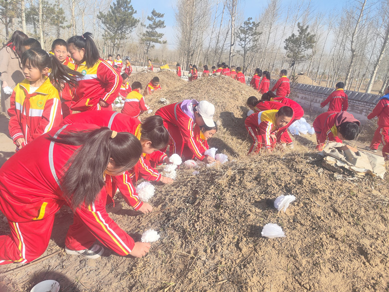 元寶山區(qū)馬蹄營(yíng)子學(xué)校清明節(jié)活動(dòng)照片6jpg_副本.jpg