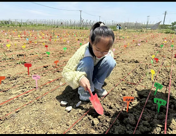 QQ圖片20240522123909.png