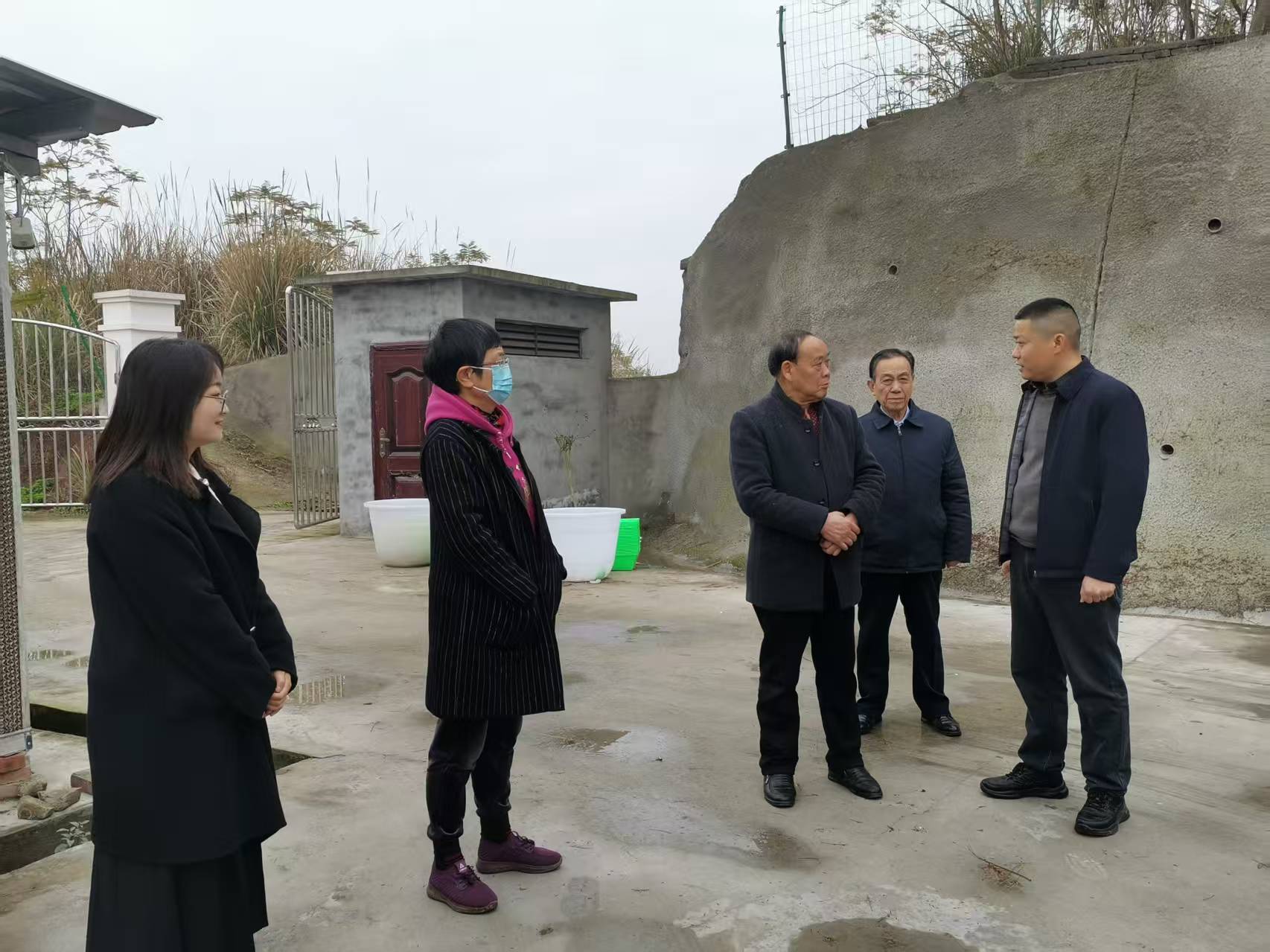 鄧主任調研 (2).jpg