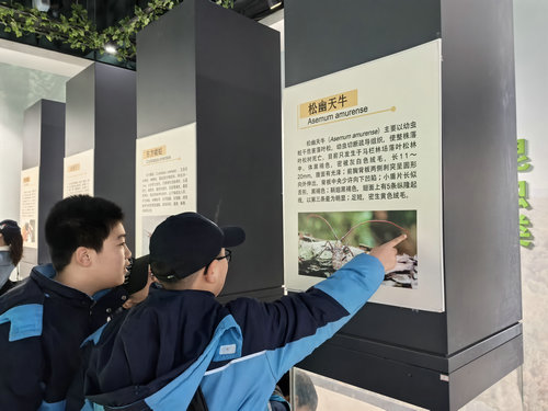 1743403765454089.jpg 689607ea891158b036edf1b784c6657_副本.jpg