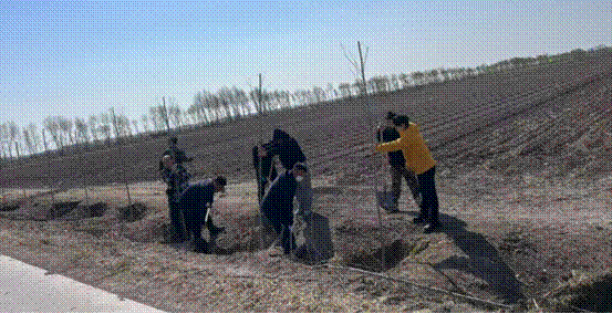 image002.gif