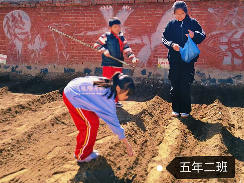 元寶山區馬蹄營子小學快樂春耕，播種希望活動照片8_副本.jpg
