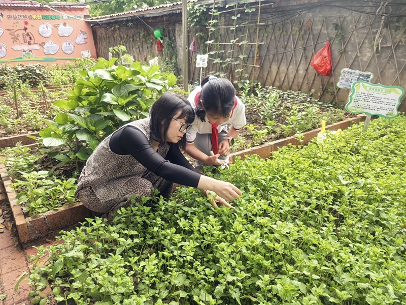 微信圖片_20250509093306.jpg
