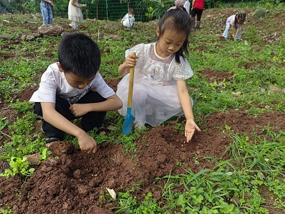 幼兒播種黃豆 (2).jpg