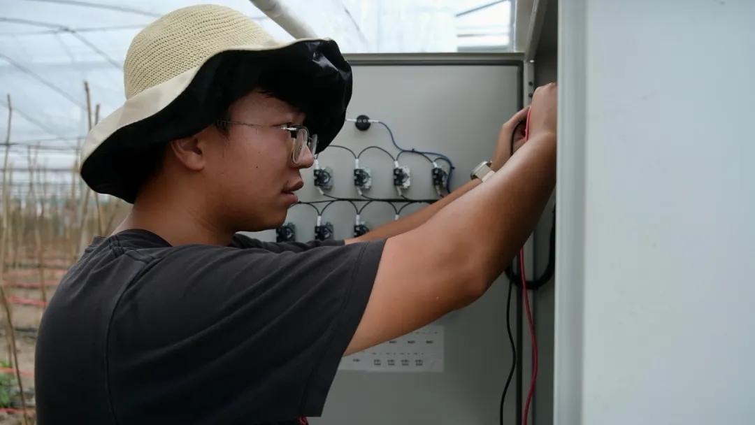 【關工委信息稿】20250605區關工委調研青年農創客基地.jpg