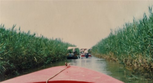 1d93065d00c32dd2c17c2475eade61e_副本.jpg