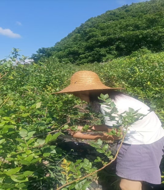 虎山校暑2.jpg