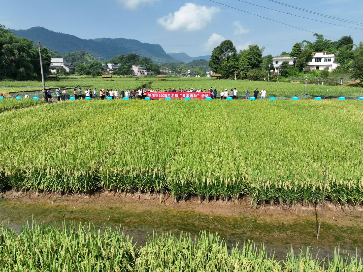 基地2.png