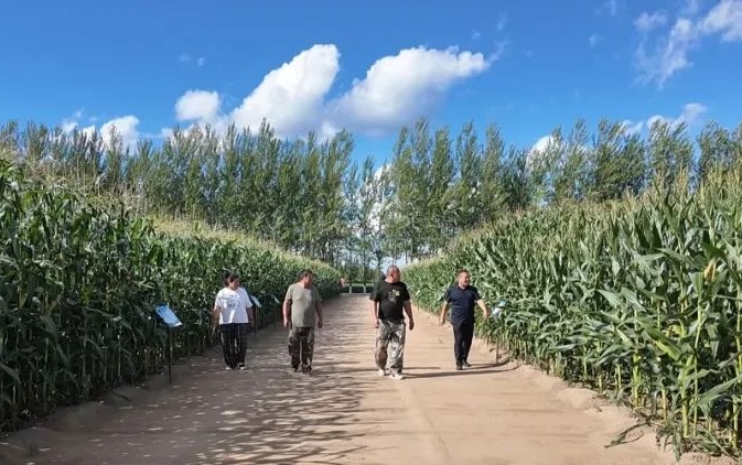 延軍1.jpg
