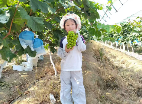 微信圖片_20250818075030_79.png
