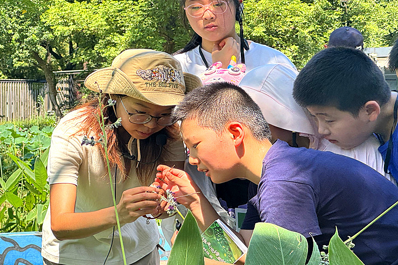 江蘇省南京市玄武區梅園新村街道大影壁社區開展“探秘水生植物的生存智慧”活動(3).jpg