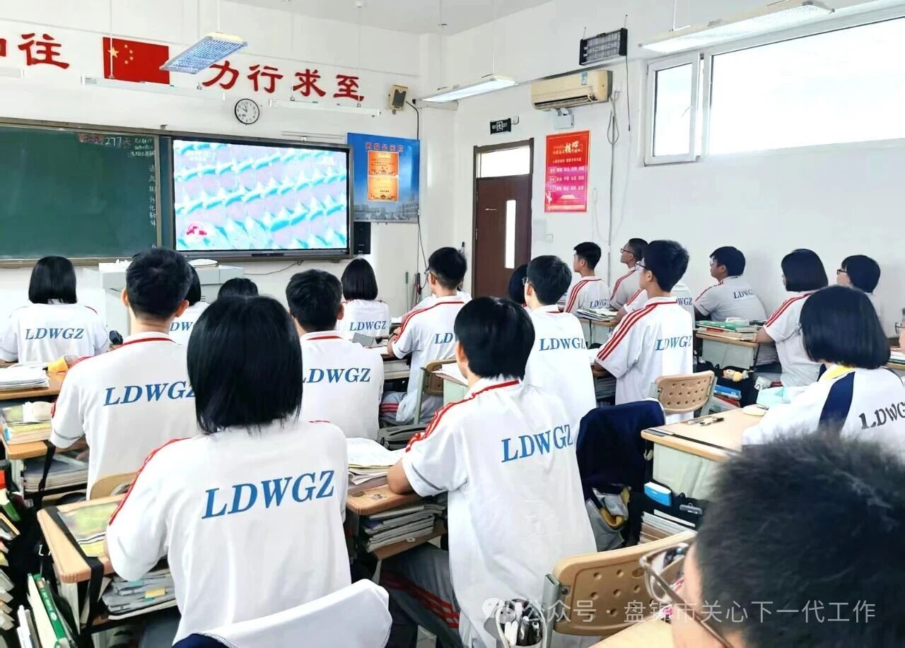 1.jpg